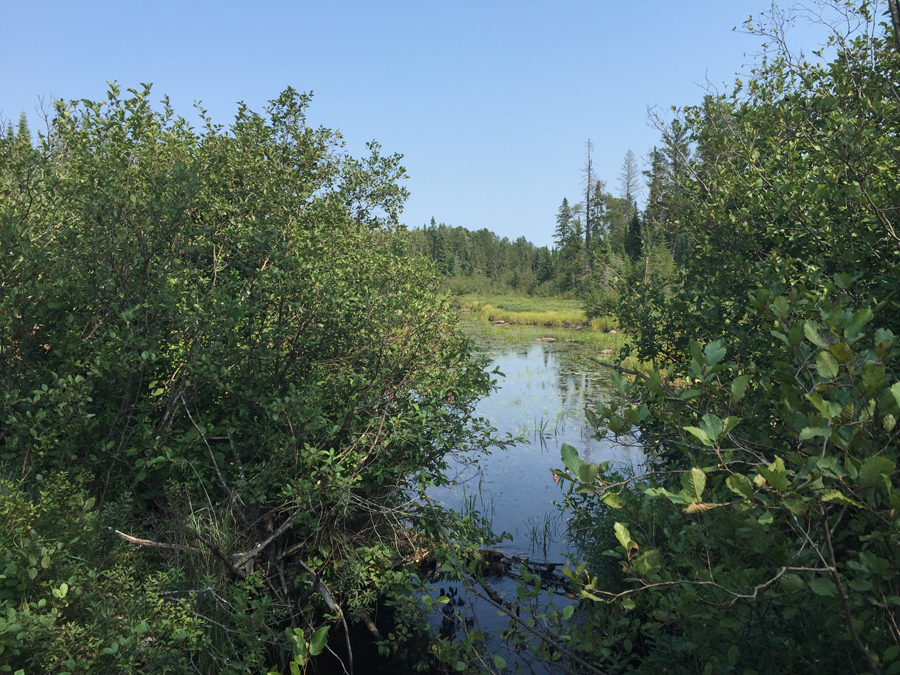 Whale Creek BWCA